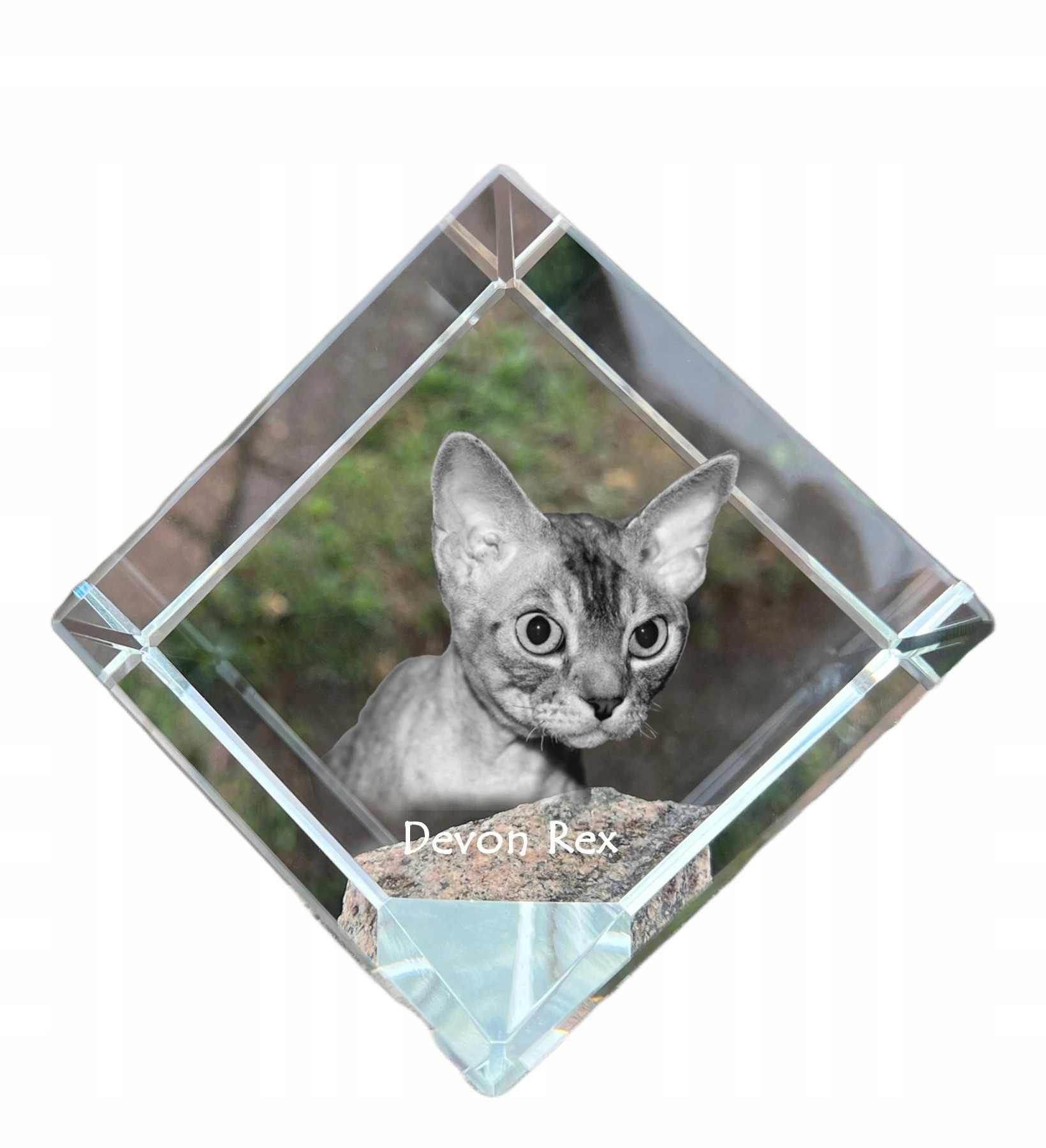 Mačka Devon Rex krištáľová kocka s fotografiou mačky, ozdoba do kancelárie