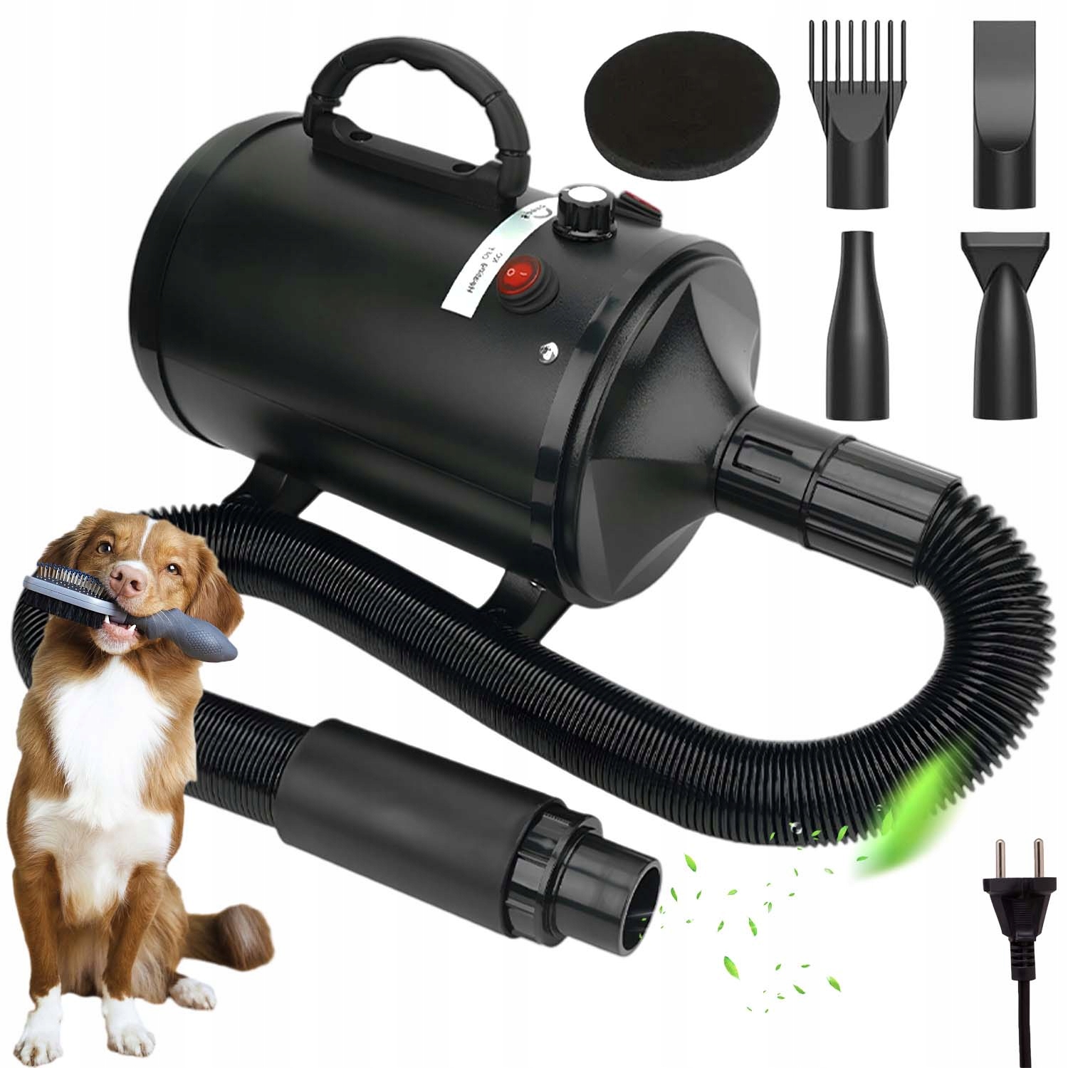 Profesjonalna Suszarka Dla Psa Kota Zwierząt Do Sierści Włosów Z 4 Dyszą