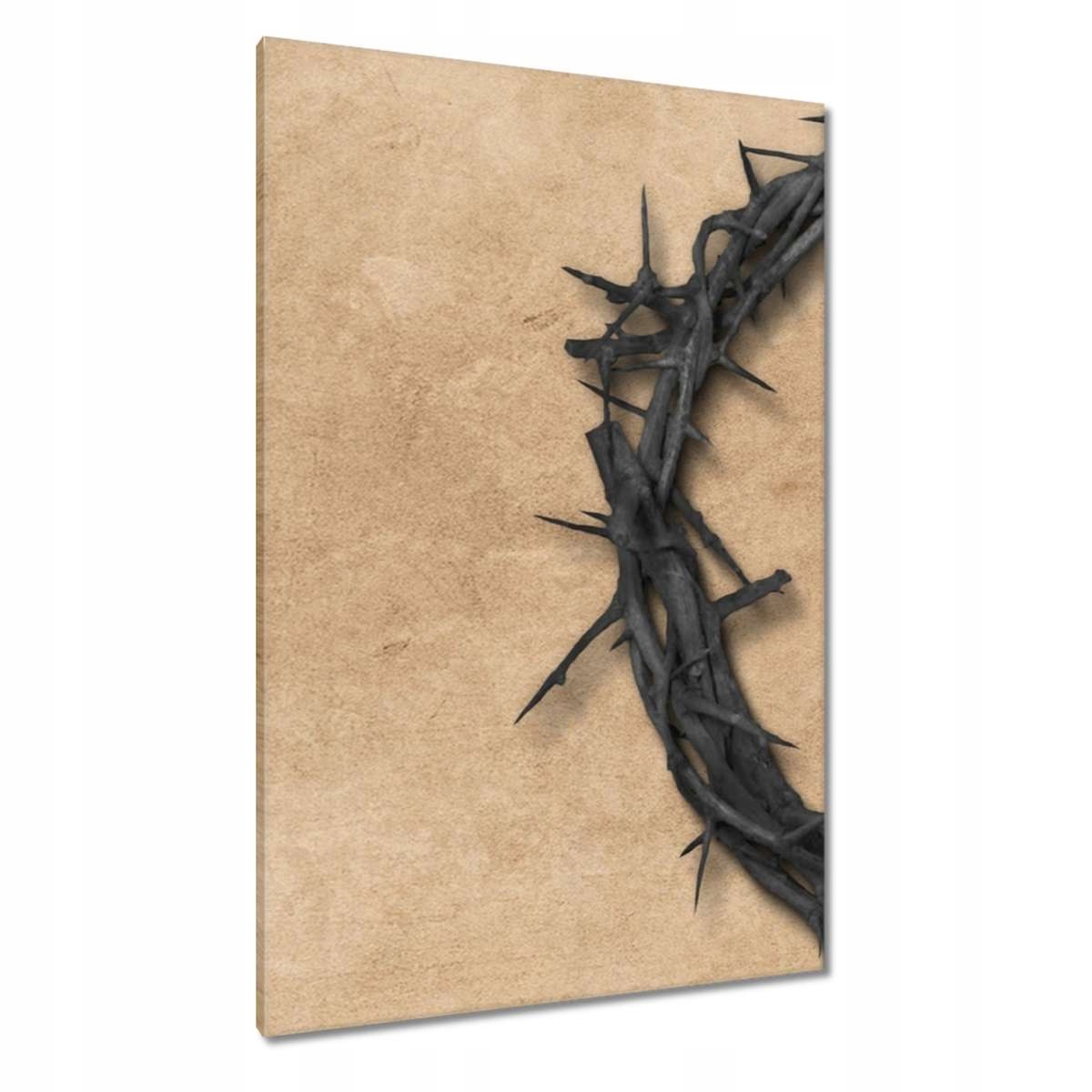 Obrazy 80x120 Trnová koruna Trny