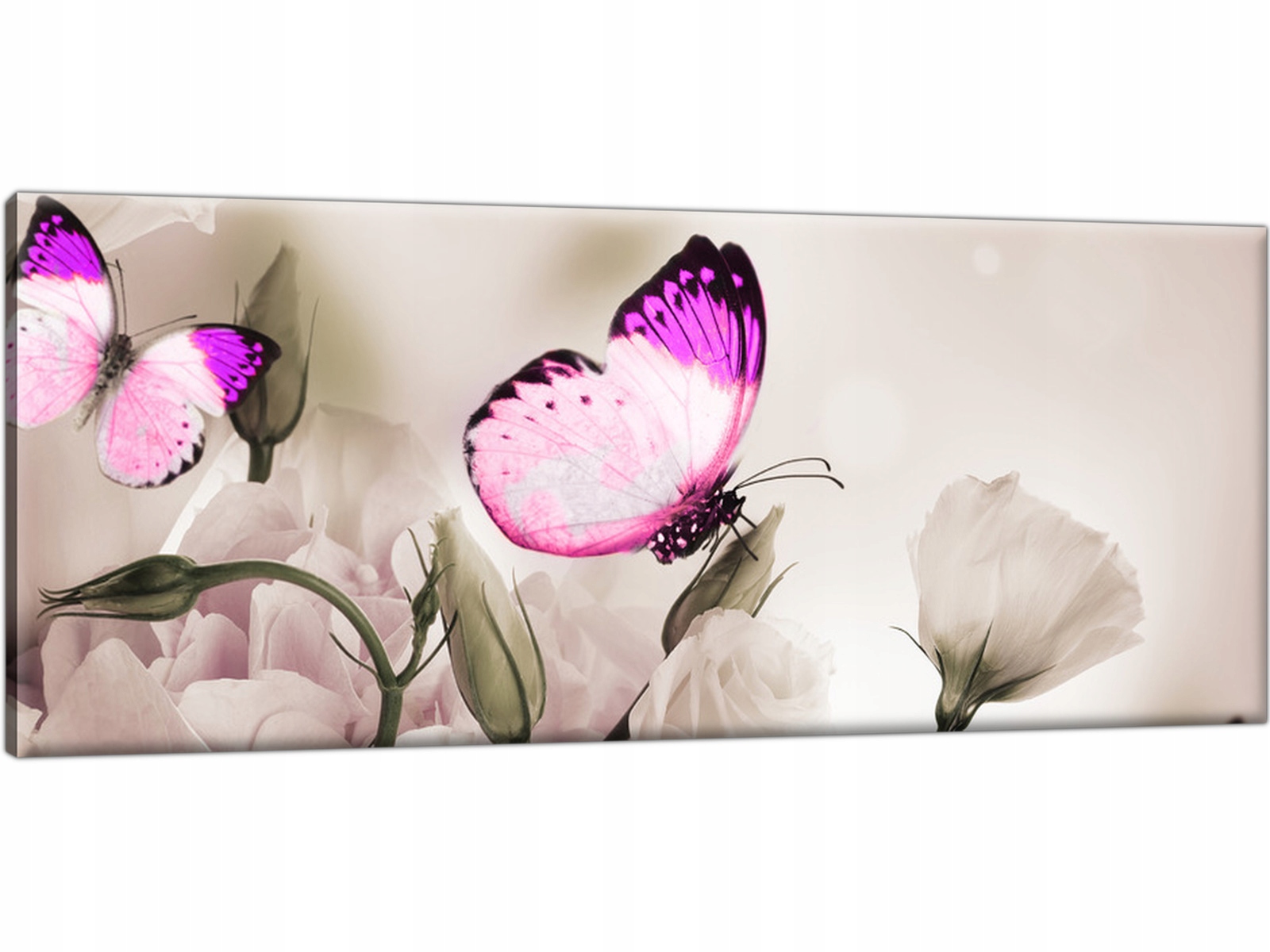 

Obraz na płótnie Kwiaty Motyle 100x40 Tryptyk