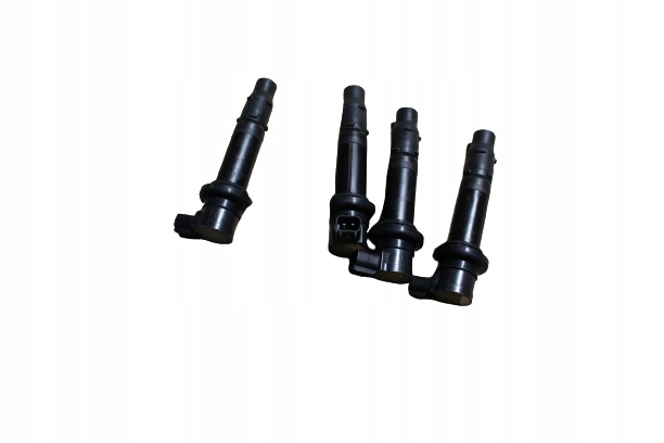 RN12.CEWKI - R1 rn12 04-06R котушка запалювання трубка котушка