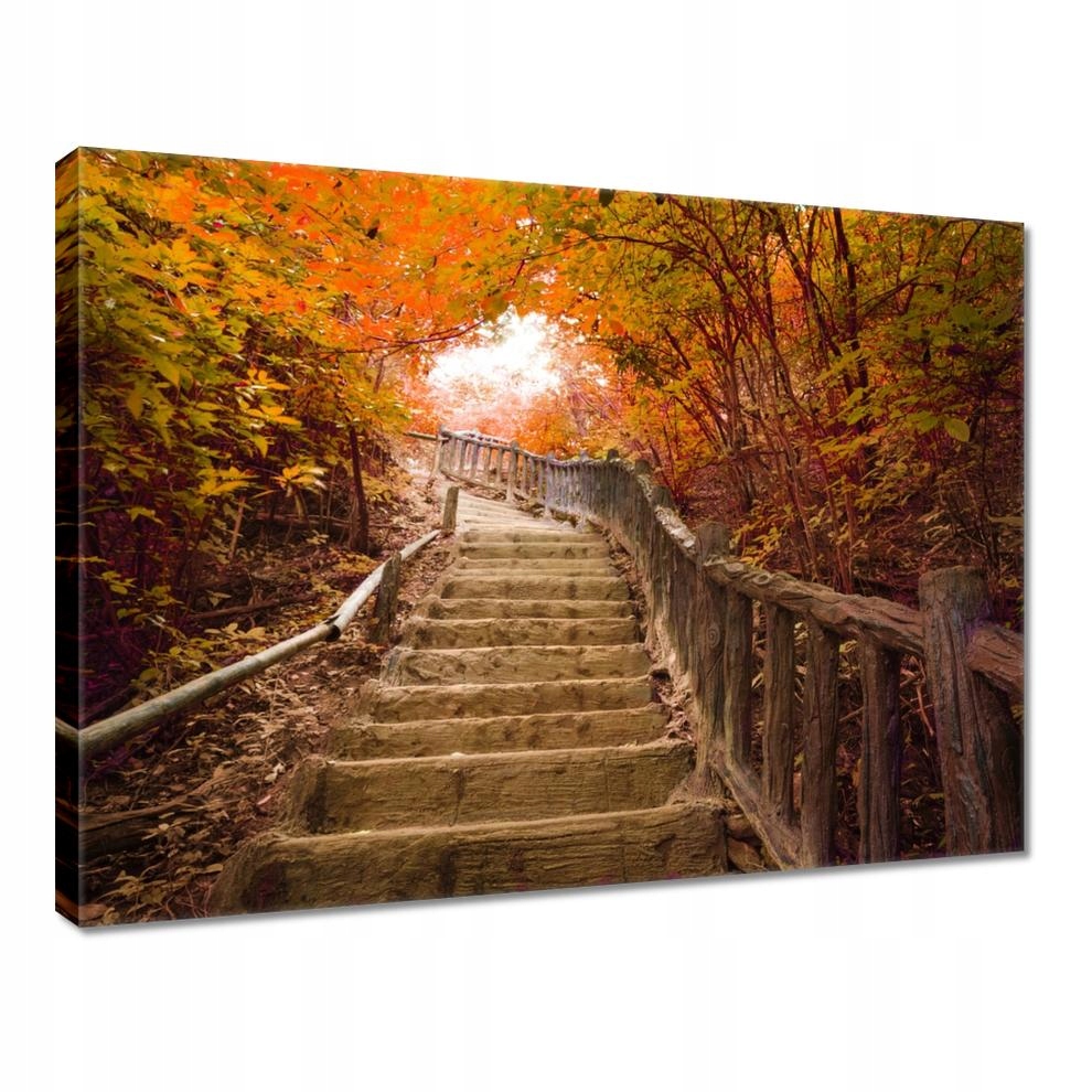 

Obrazy 40x30 Jesienny spacer Schody