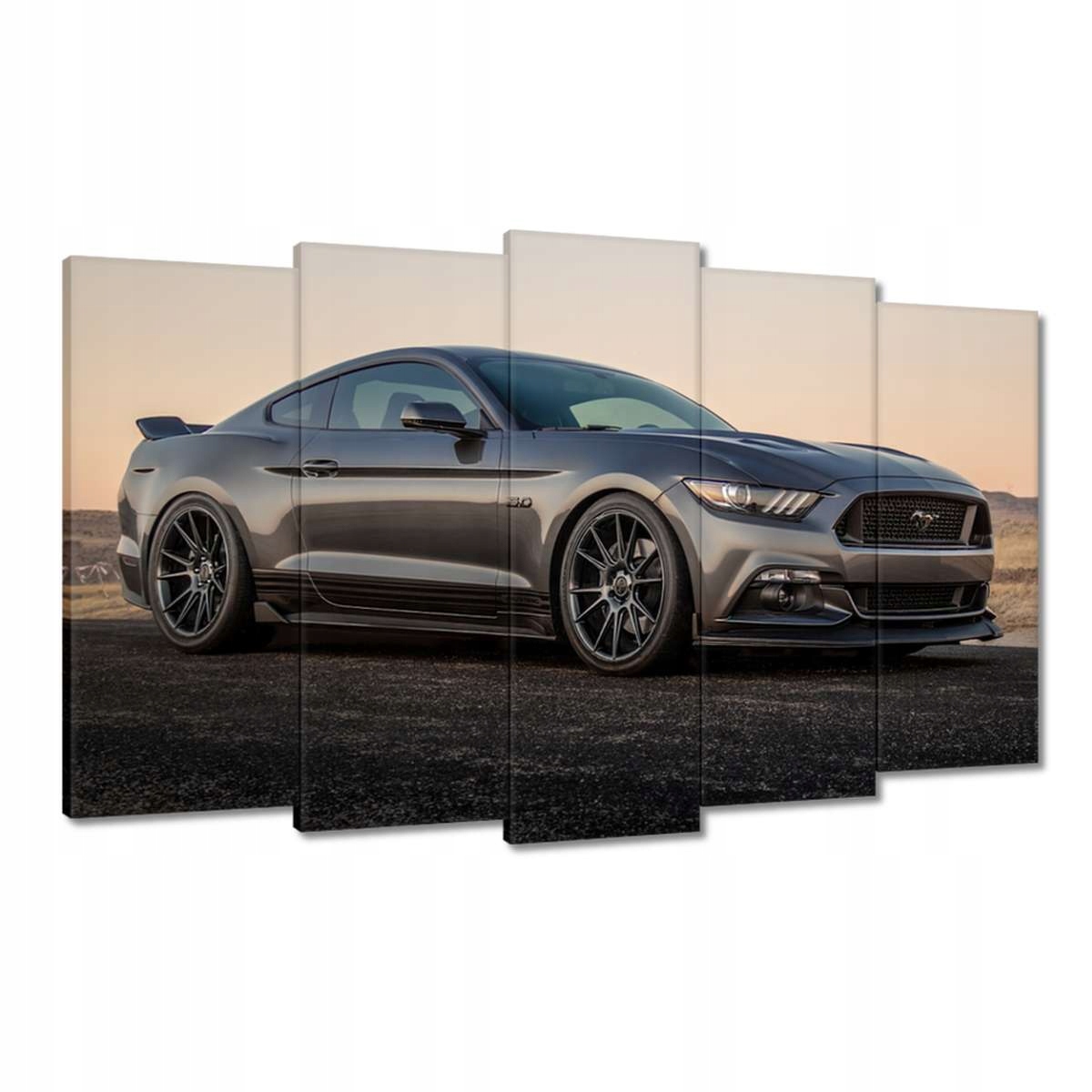 Obrazy 100x60 Ford Mustang vyrobené v Usa