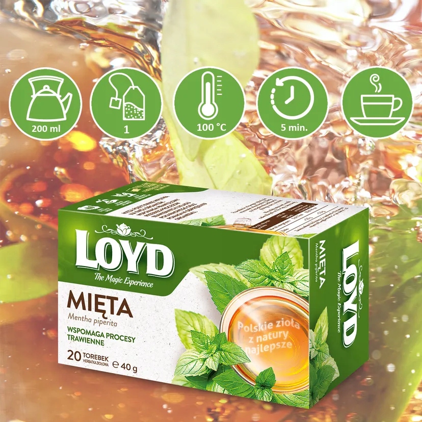Levně 13 x bylinný čaj Loyd Máta 20 sáčků