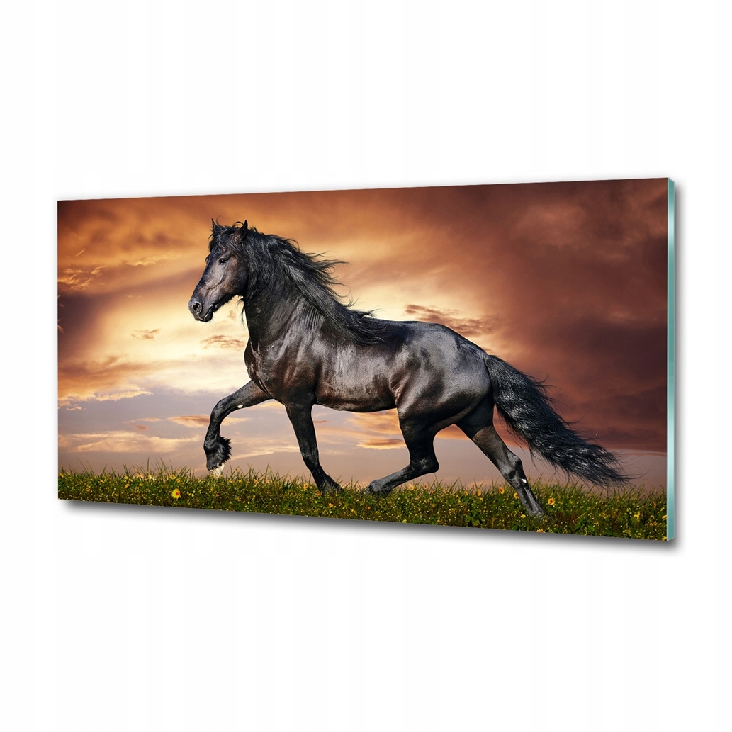 Obraz grafika do obývacího pokoje velký Klusající kůň 120x60