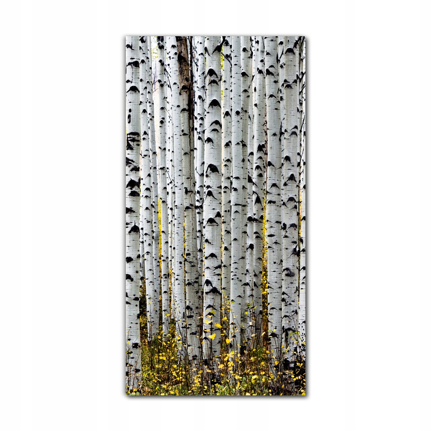 

Obraz na szkle do kuchni 70x140 cm Jesień natura