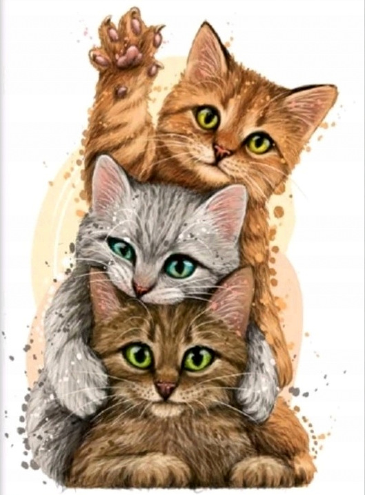 

Obraz Malowanie Po Numerach Na Krośnie Rama