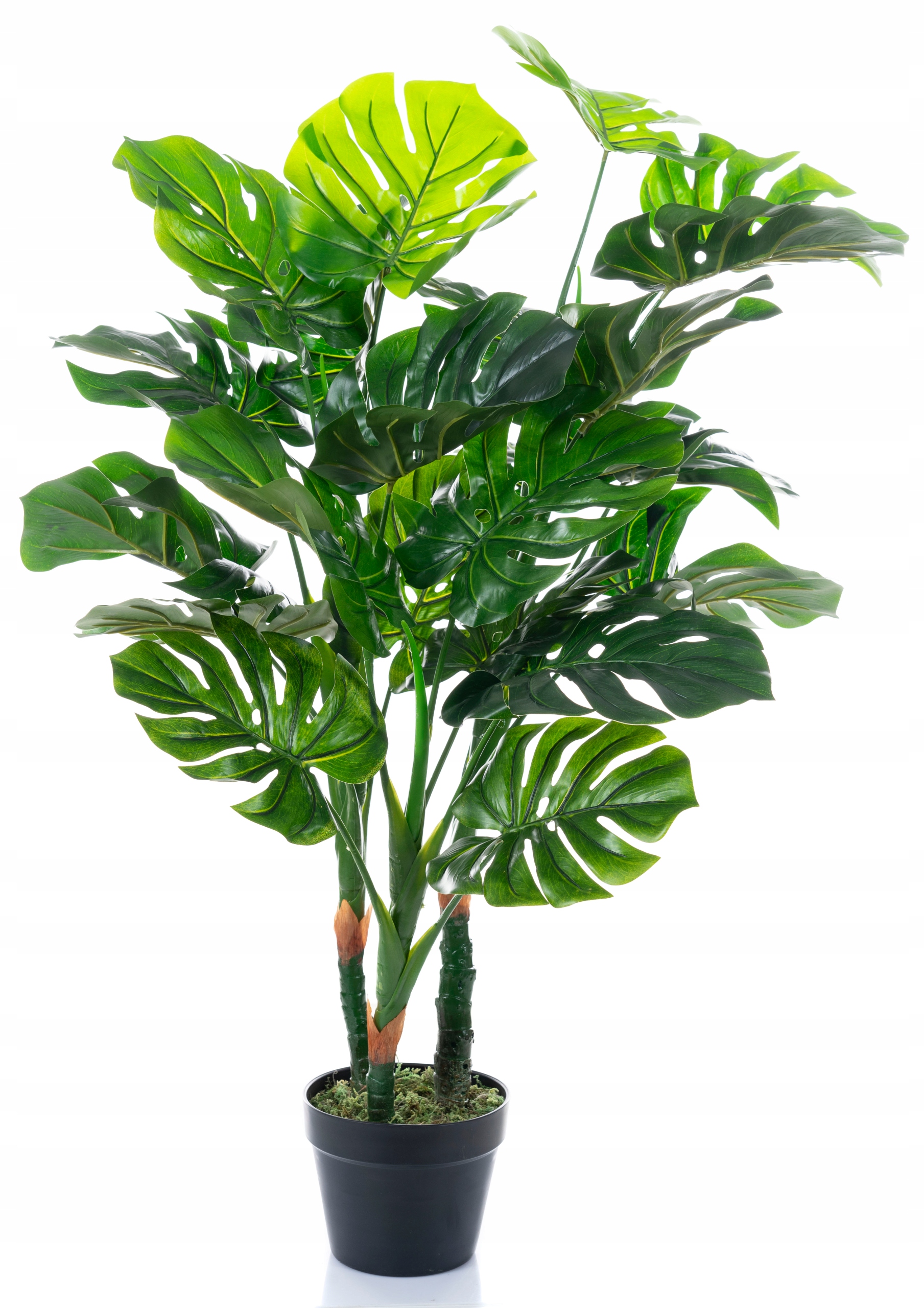 

Monstera Sztuczna Duża Kwiaty 100CM W Doniczce