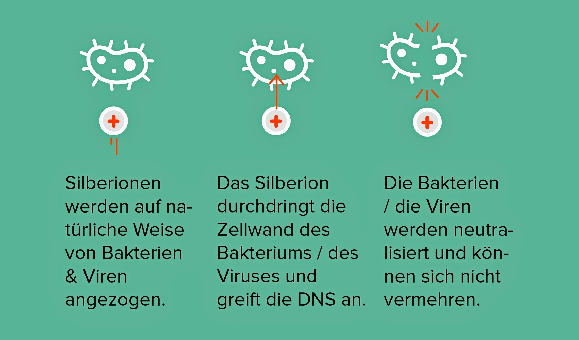RĘKAWICZKI BAWEŁNIANE ELEGANCKIE Z JONAMI SREBRA Materiał dominujący poliester