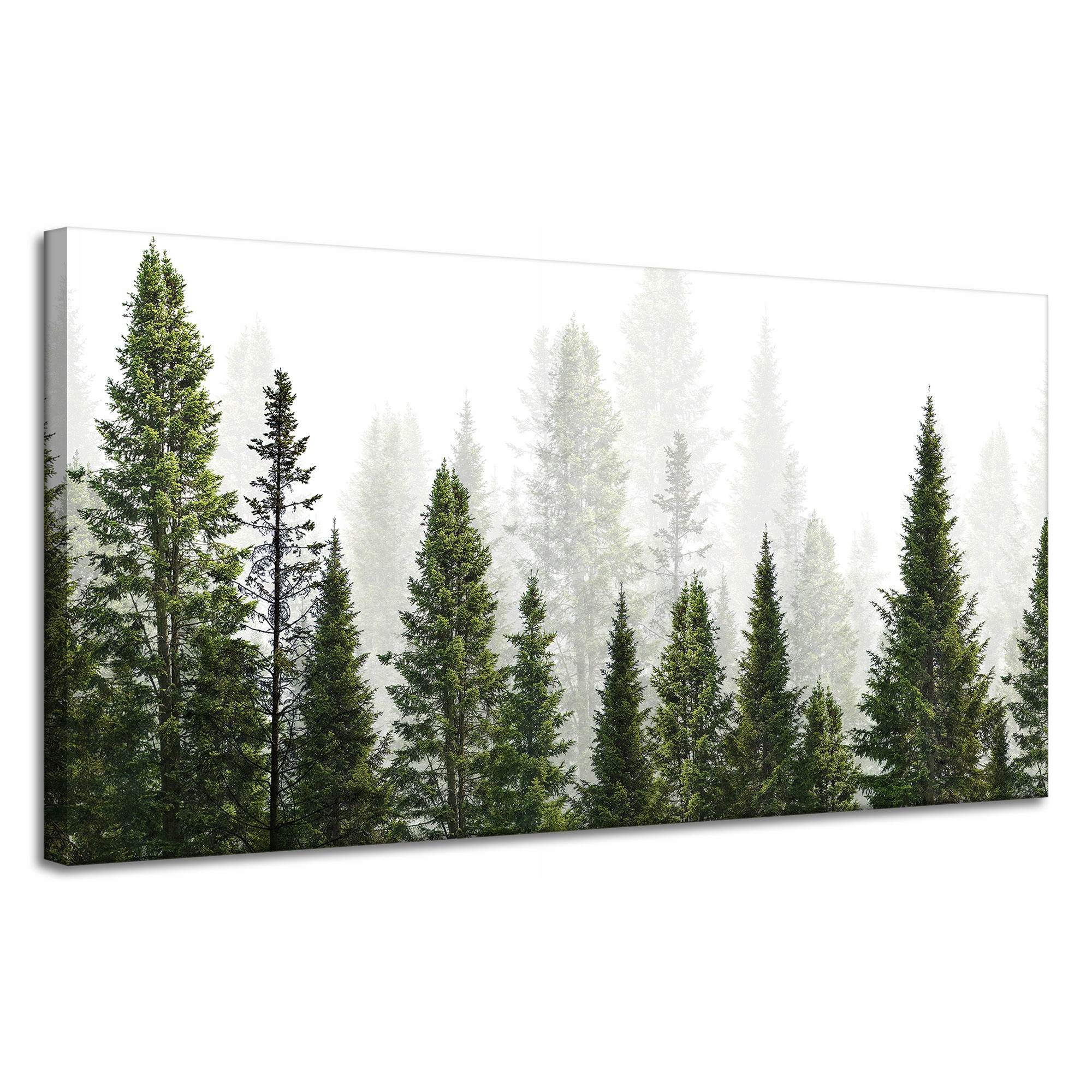 Obraz na plátně Dešťový les Příroda Stromy 120x60 cm