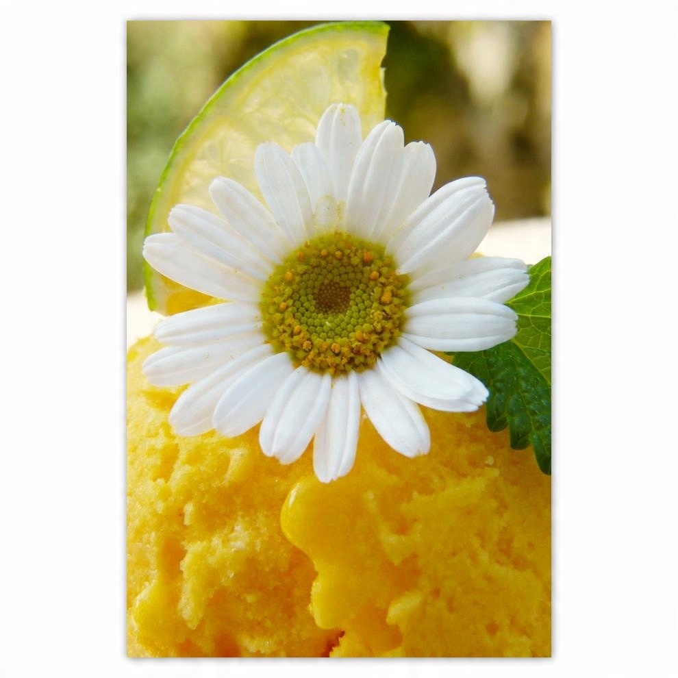 

Plakat 62x93 Owocowe Lody morelowe