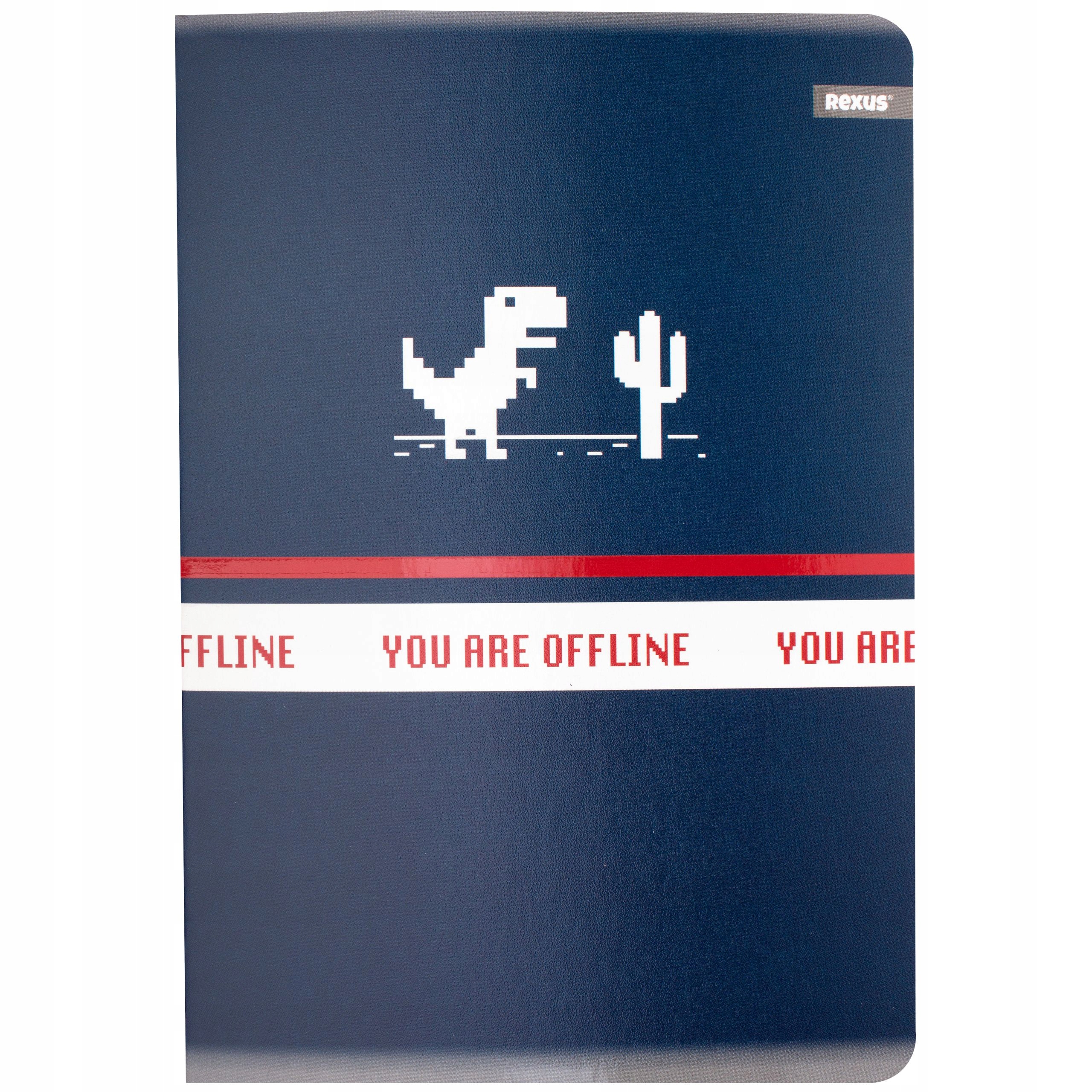 ZESZYT SZKOLNY W LINIE VIBE FORMAT A5/60K REXUS Kod producenta 111137