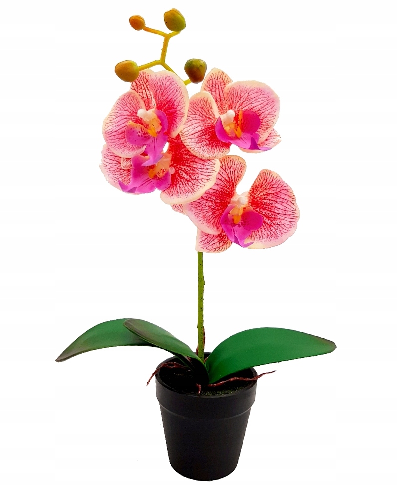 

Storczyk Sztuczny storczyki kwiat Orchidea 38 cm