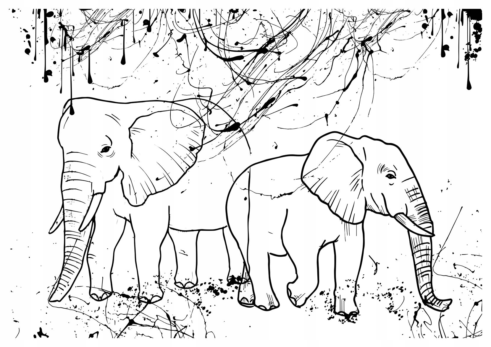 Tapeta Slony abstrakcia minimalizmus línia príroda čierna biela 416x290 lepidlo