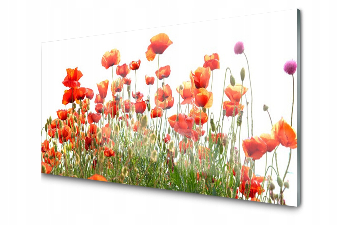 

Panel szklany Płytka Maki Roślina 100x50