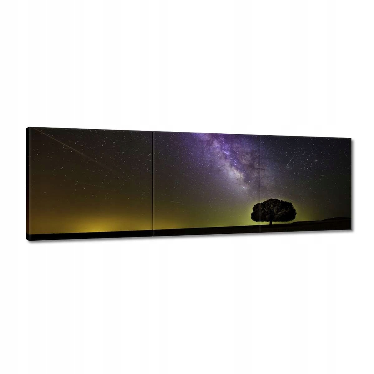 Obrazy 150x50 Hvězdná noc