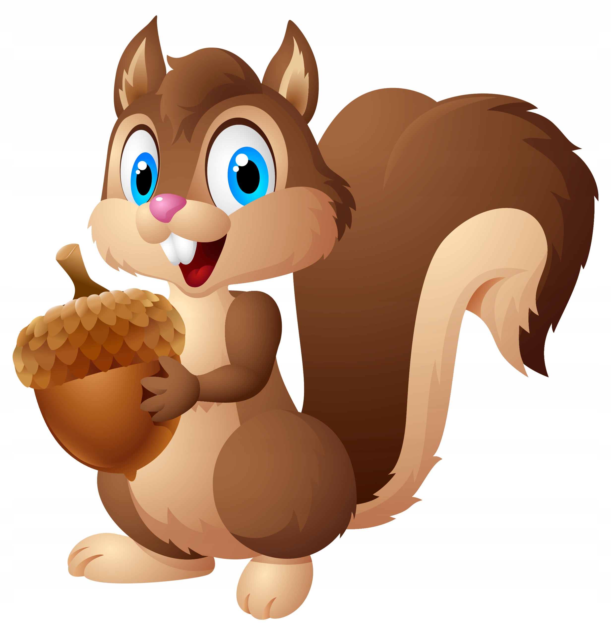 

Naklejka Na Okno Szybę Lustro Wiewiórka Las