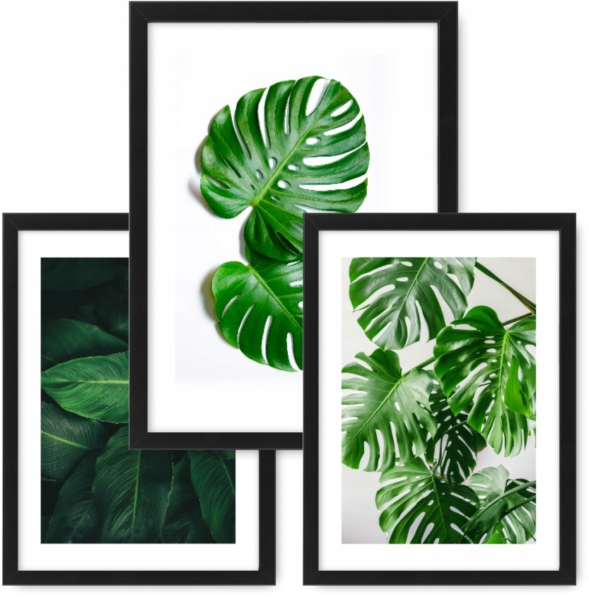 Sada 3 obrázků A3, plakáty, Monstera rámeček ikea #43