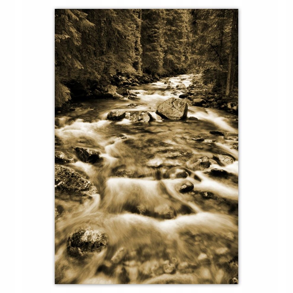 

Plakat 62x93 Tatry Polskie góry Widok