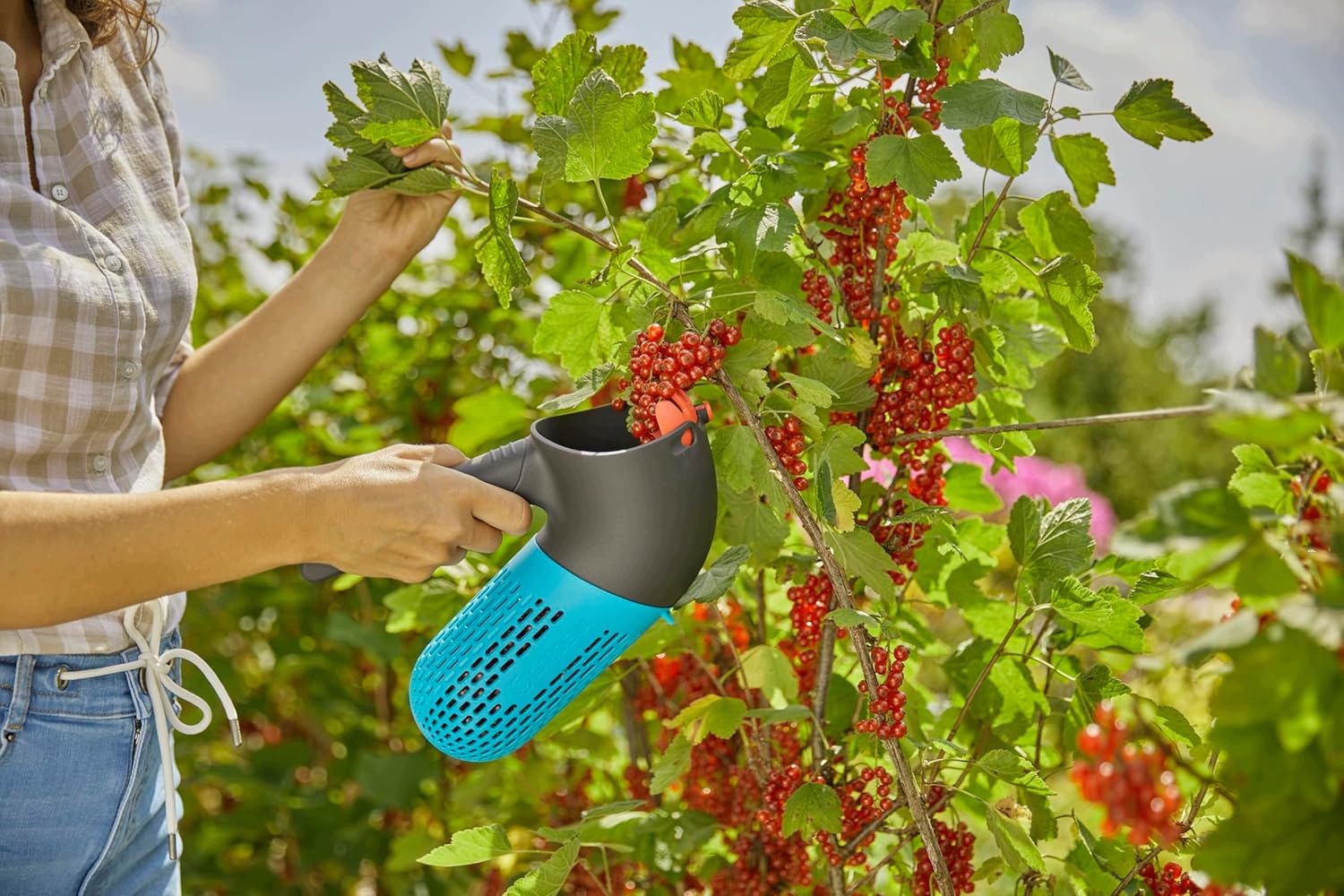 Sběrač Ovoce S Košem, Nastavitelná Hlava Pro Rukojeť, 0,8 L