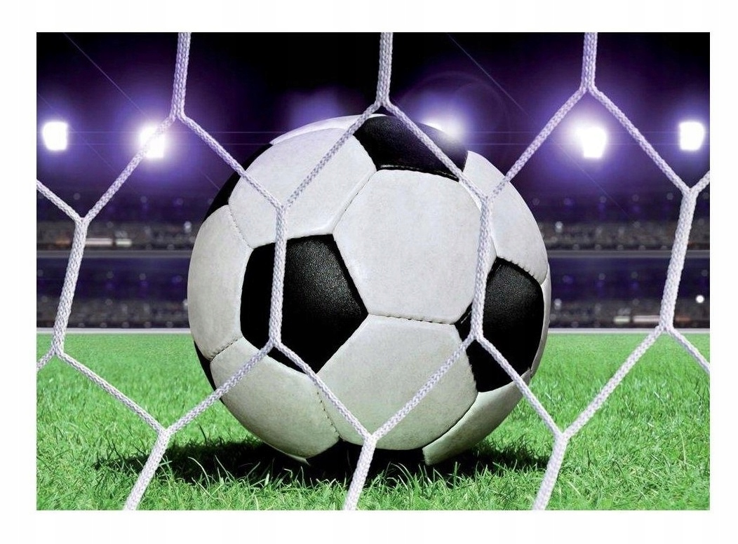 Fototapeta Fotbalová Branka Fotbal 312x219