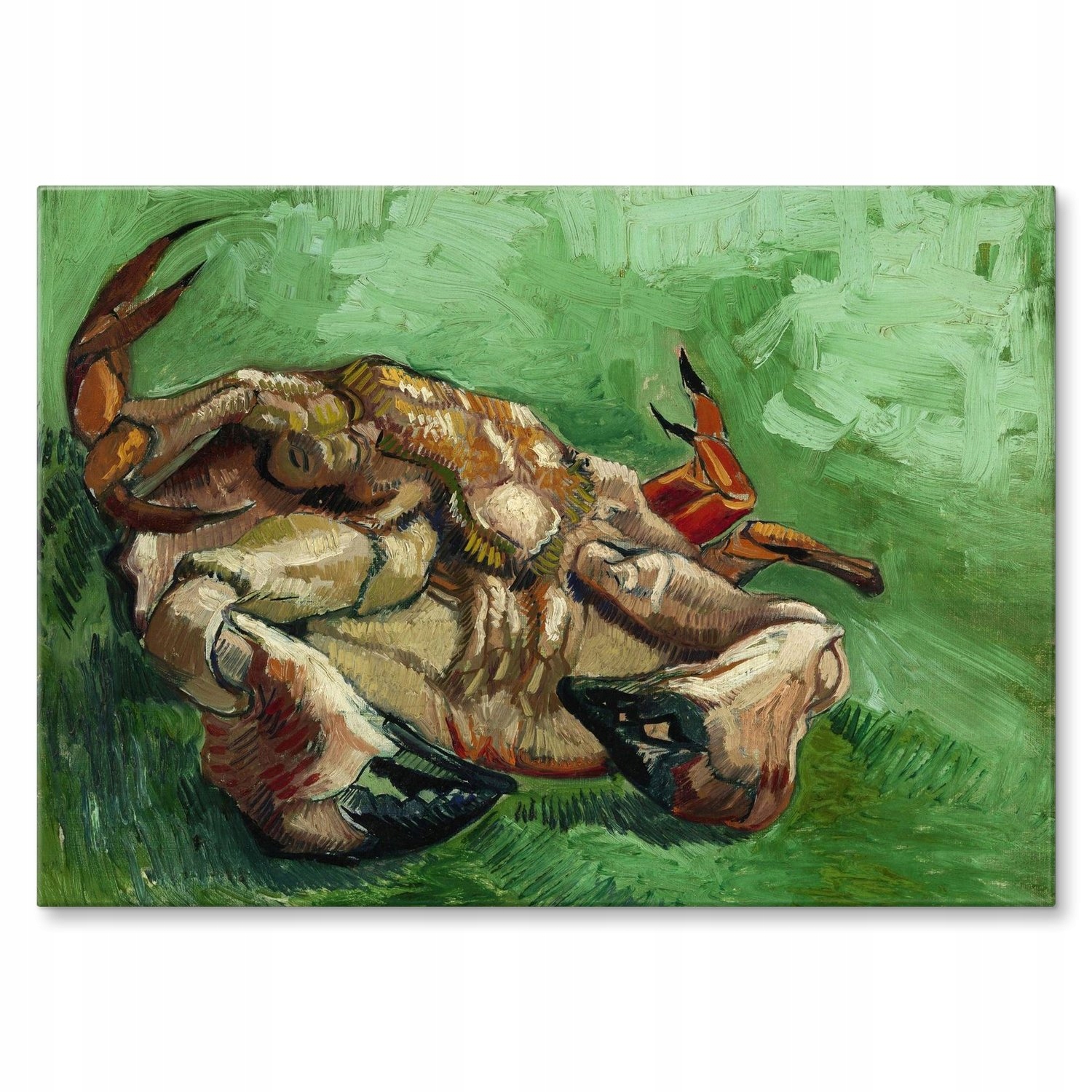 Kovový plakát Crab on its back van Gogh Szyld Plech 42 x 59,4 cm +dárek
