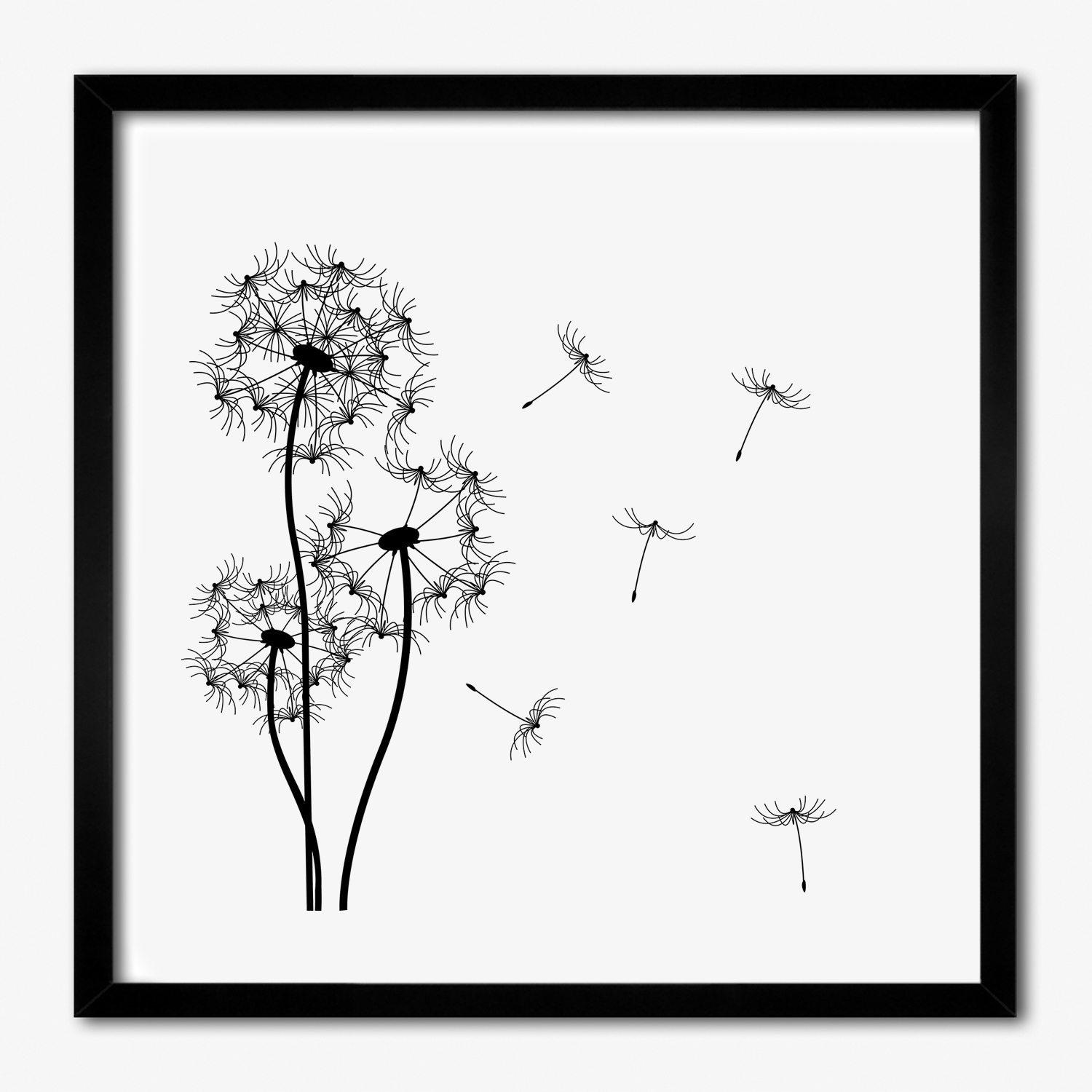 

Nowoczesny foto obraz ścienny Dmuchawce 50x50 cm