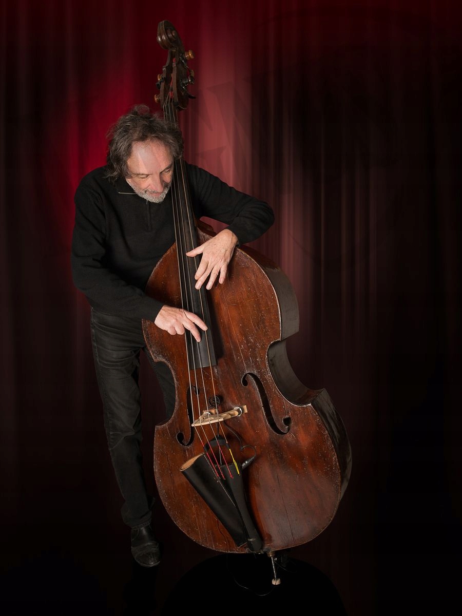 Prodipe BL21 - mikrofon do kontrabasu Model BL21