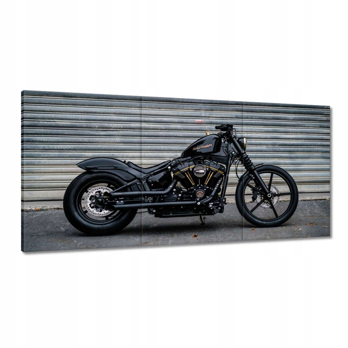 Obrazy 120x60 Harley Davidson Motocykl