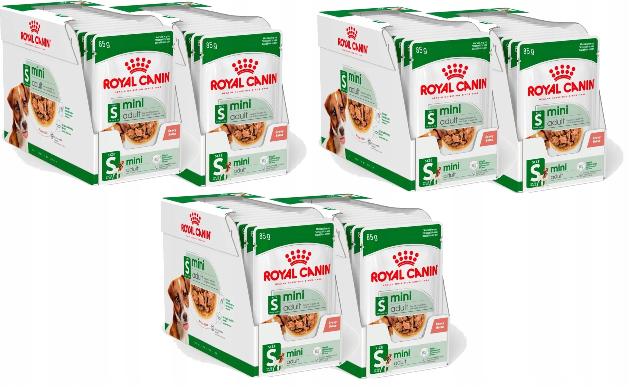Royal Canin Mini Adult S Size Saszetki Pies Rasa Mała 72x85g