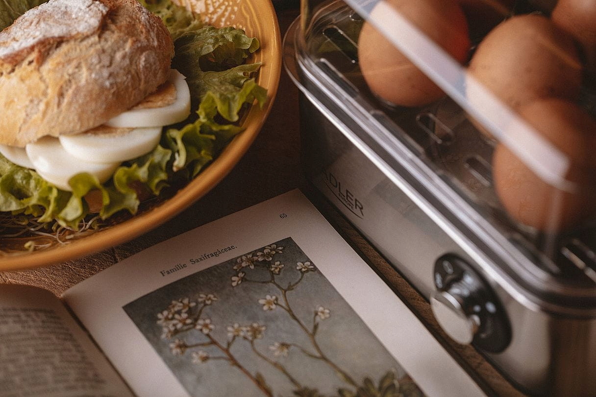 JAJOWAR AUTOMATYCZNY DO GOTOWANIA DO 8 JAJEK 800W ADLER AD4486 Materiał metal tworzywo sztuczne