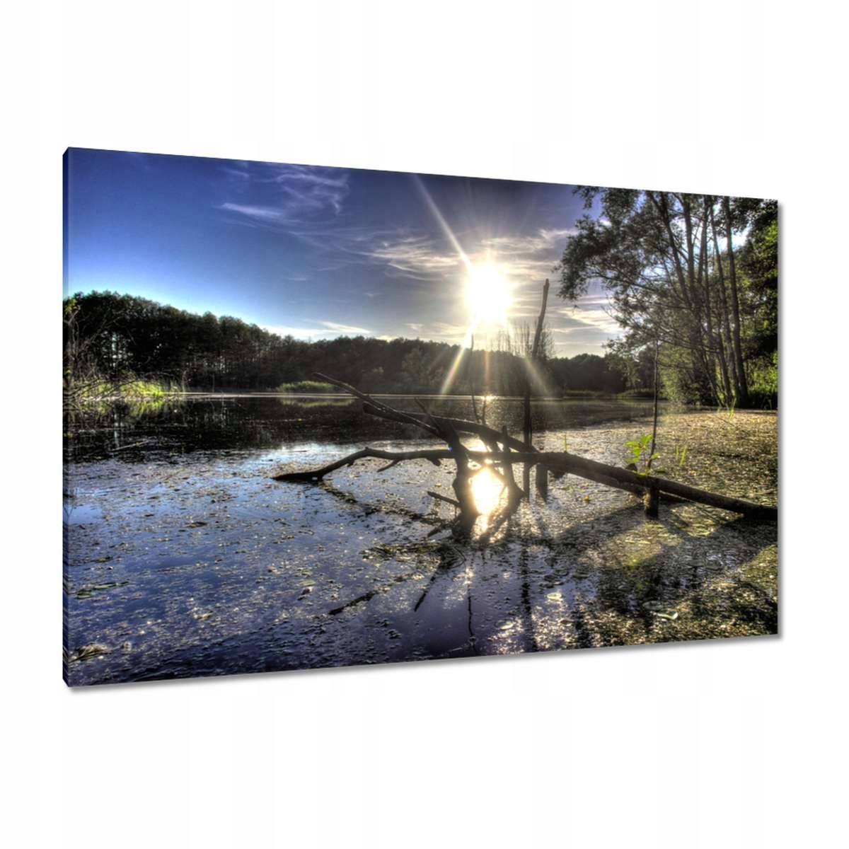 Obrazy 120x80 Západ slunce nad rybníkem