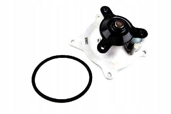 D1Y006TT - ВОДЯНИЙ НАСОС CHRYSLER VOYAGER IV 3.3/3.8 02.00-12.08