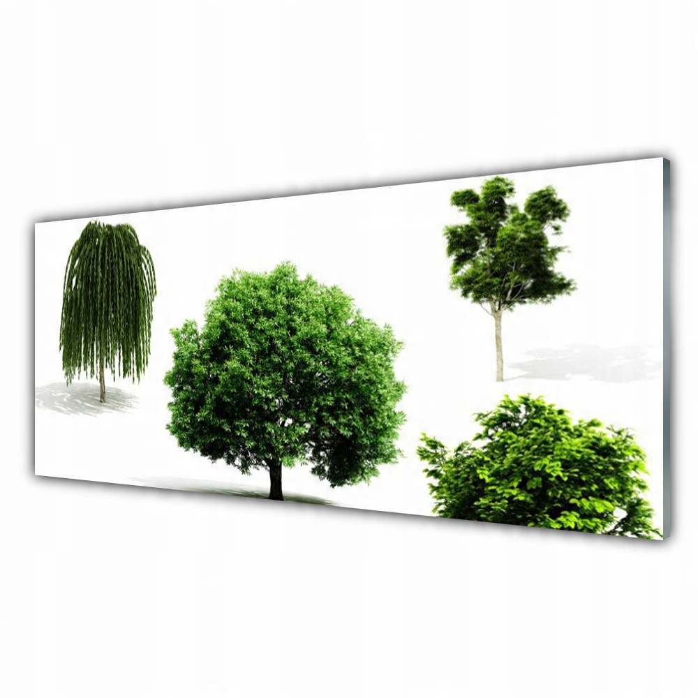 

Fotoobraz z grafiką 125x50 Drzewa Natura Przyroda