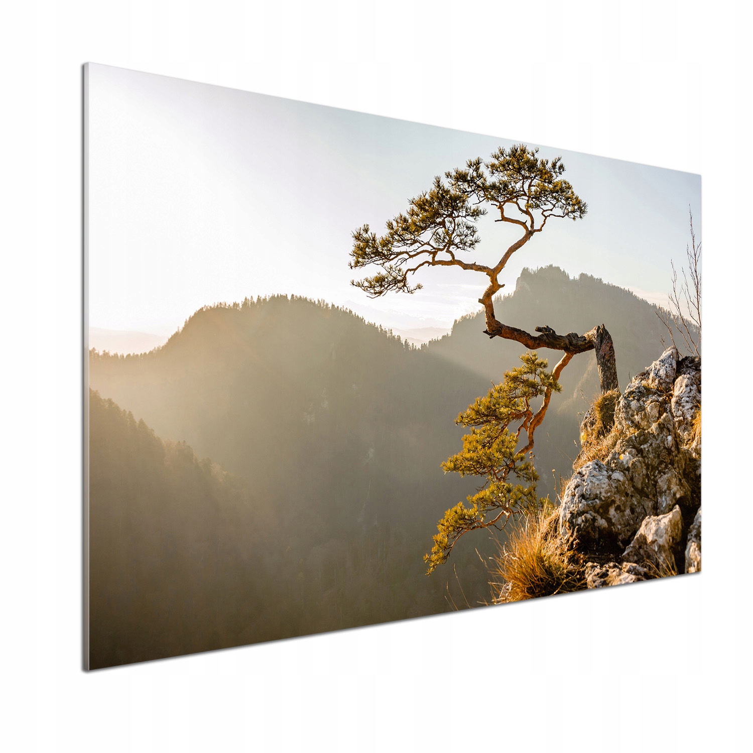 Panel do kuchyně Sokolica Pieniny 100x70 cm Lepidlo