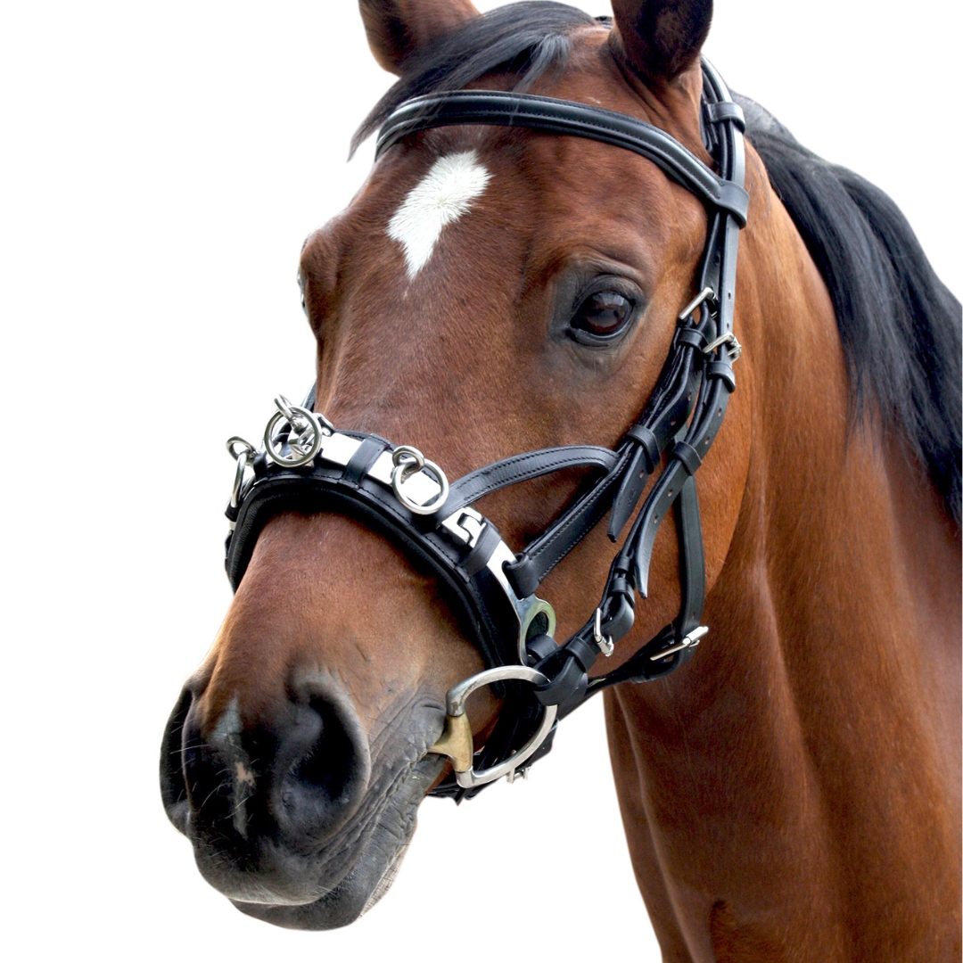 Bezudidlová Ohlávka Kožený Premium Waldhausen Cob