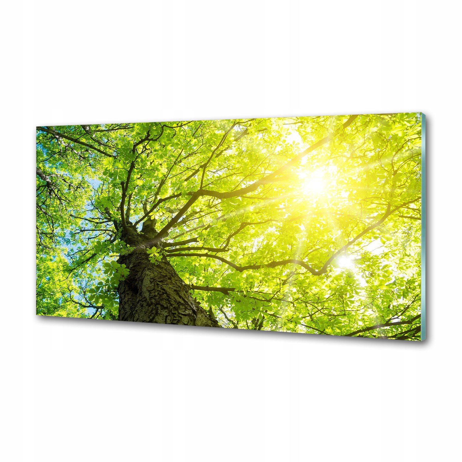 Panel do kuchyne Gaštanová na jar 120 x 60 cm Lepidlo