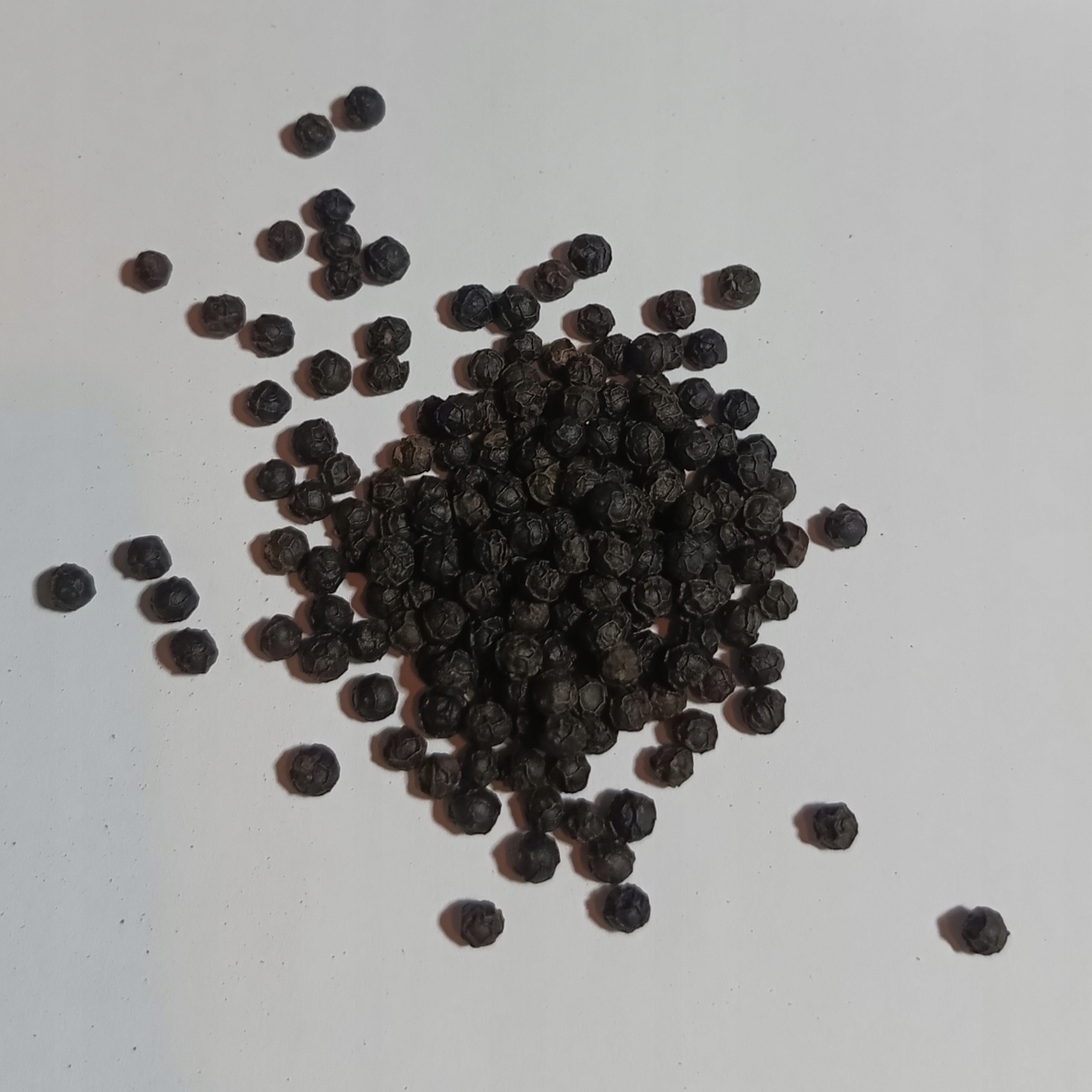 pepř Kampot Černý Zrno 1 kg Rafex