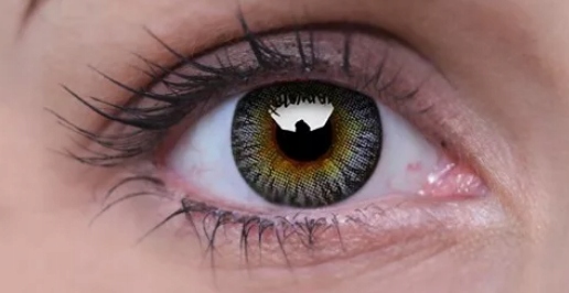 Soczewka Kolorowa Colourvue 3 Tones Grey -8,00