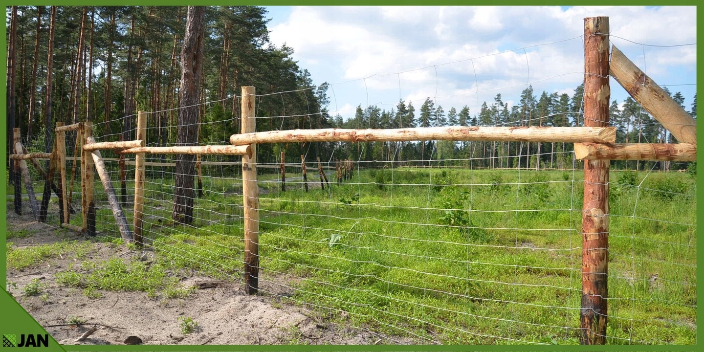 SIATKA LEŚNA ogrodzeniowa wys 160/16/30 L 50m gratis GĘSTA na ZAJĄCE sarny Długość 50 m