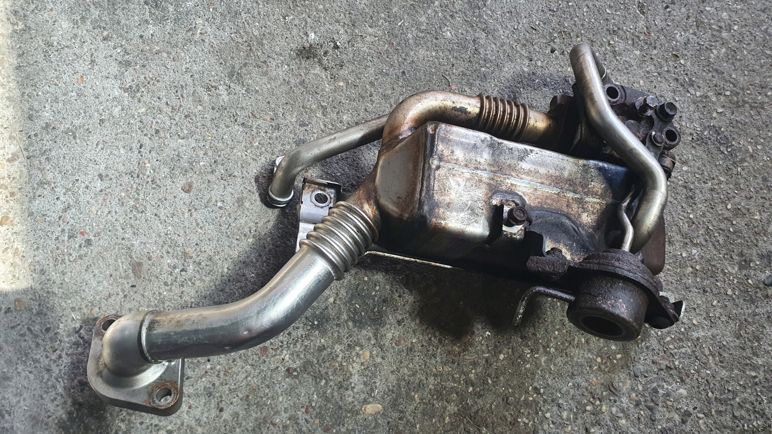 55225296 - РАДИАТОР ВЫХЛОПНЫХ ГАЗОВ КЛАПАН РЕЦИРКУЛЯЦИИ ОГ OPEL ASTRA H J 1.7 CDTI