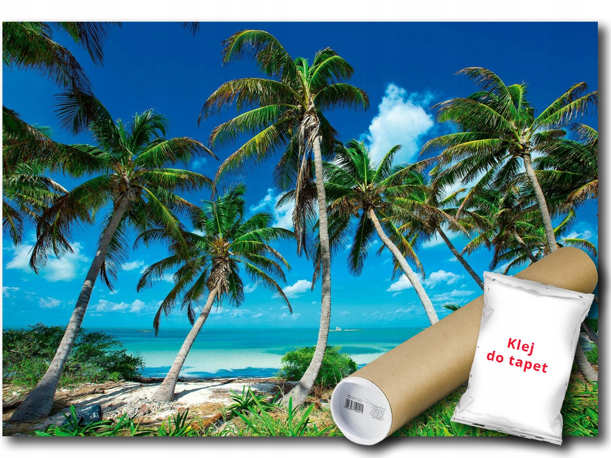Fototapeta Flizelina Exotika Palma Pláž Oceán Pohľad 400x280 lepidlo zdarma