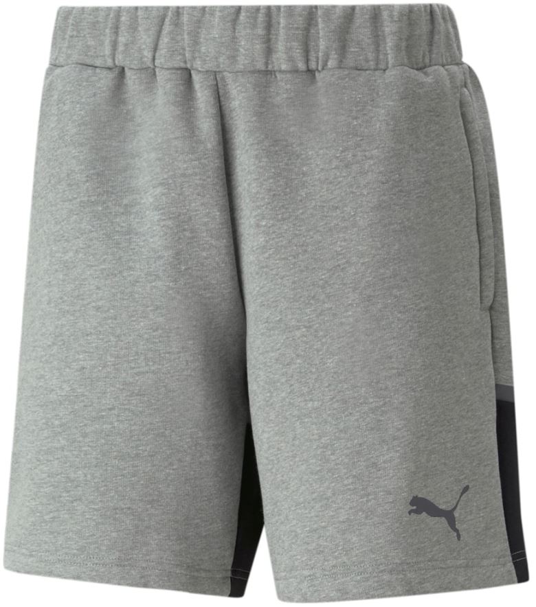 Puma teamCUP Casuals pánské šortky, šedé
