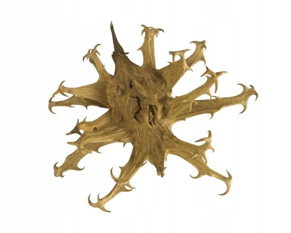 Czarci pazur Equiherbs mielony 1000g