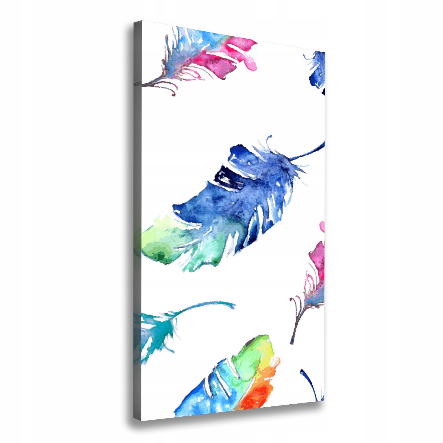 

Foto obraz na płótnie Kolorowe piórka 50x100 cm