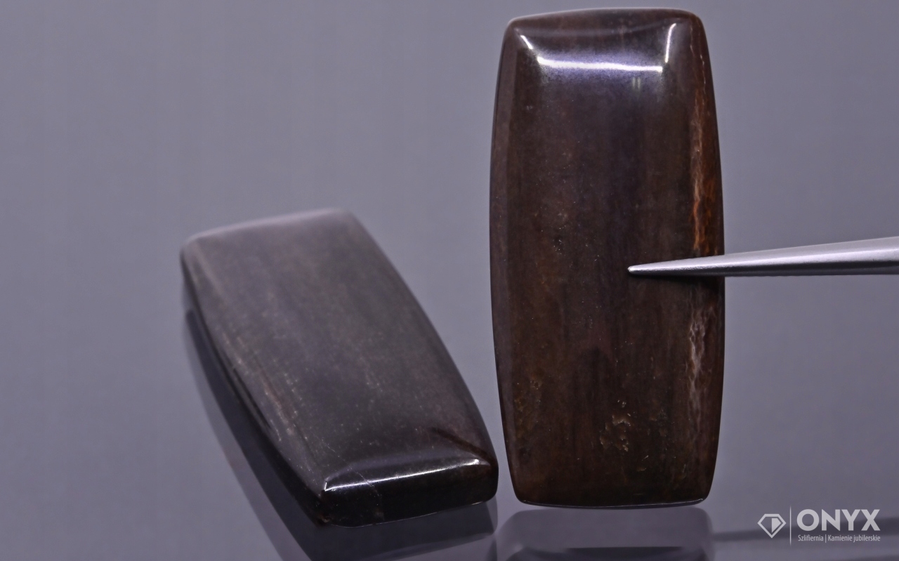 Zkamenělé dřevo nízký kabošon cushion 36x17 mm