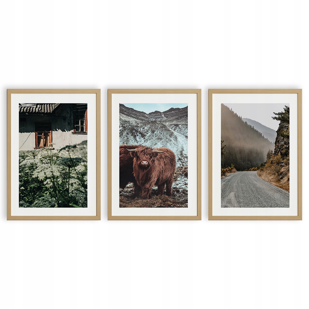ZESTAW PLAKATÓW A4 OBRAZY KROWA DROGA GÓRY NATURA