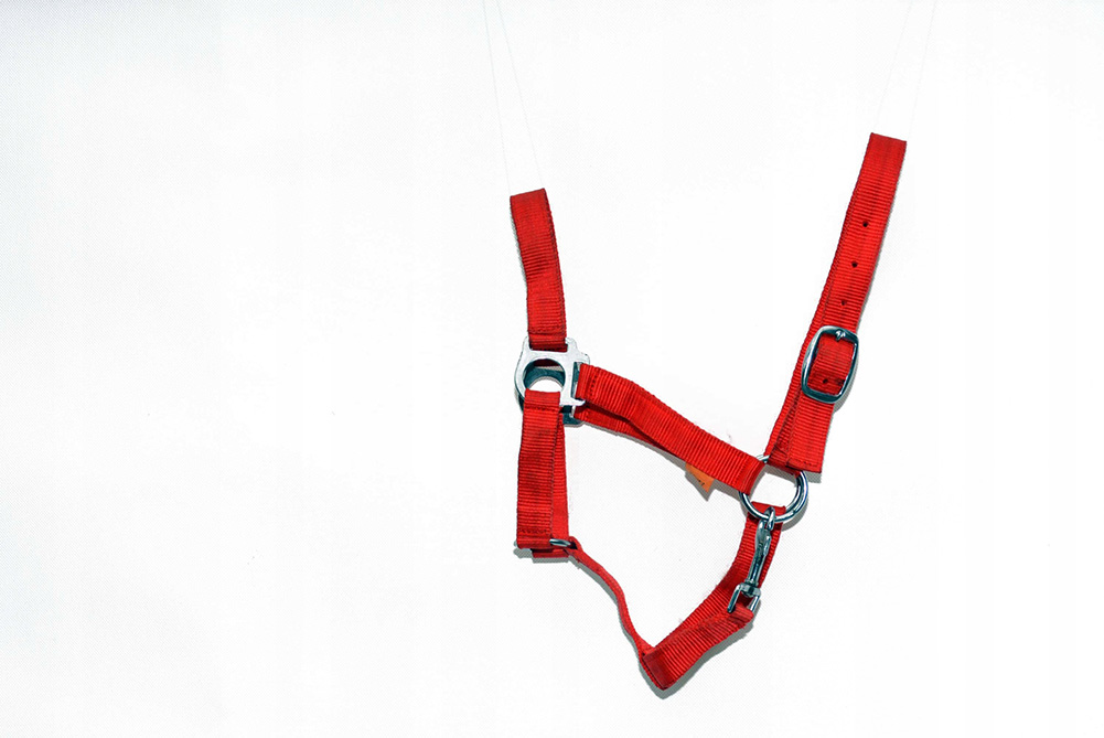 KANTAR Z TAŚMY PARCIANEJ - X-FULL NA GRUBASA Rozmiar 4 (xfull)