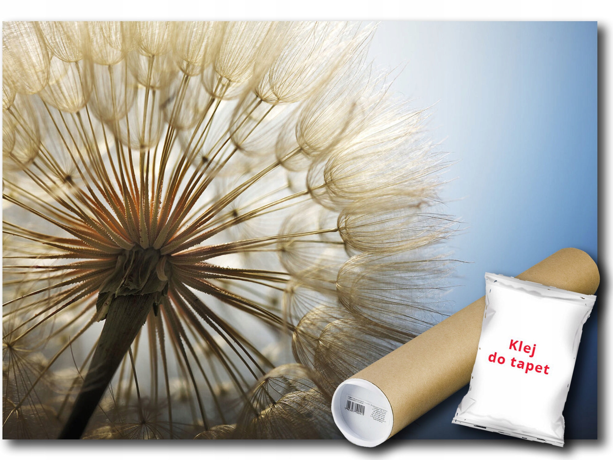 Vinylová Fototapeta Pampeliška Makro Rostlina Flóra Příroda 312x219