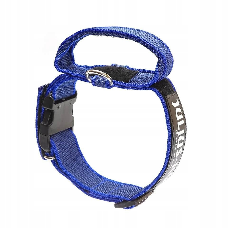 

Obroża Julius K9 ColorGray uchwyt 50mm Niebieski